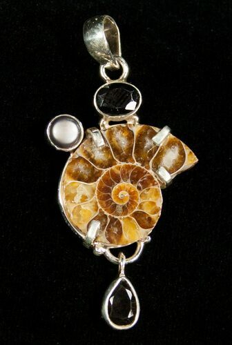 Fossil Ammonite Pendant - Sterling Silver #4535